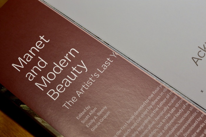 The title is repeated on the inner flap, shown reversed in a light weight from Halyard Text.