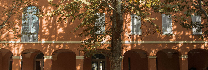 Museo Civico San Rocco 9