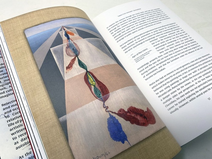 Ithell Colquhoun. Genius of the Fern Loved Gully by Amy Hale 4