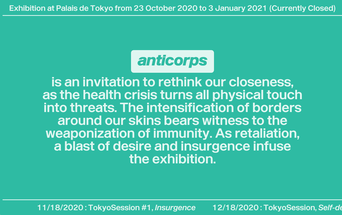 Anticorps exhibition website, Palais de Tokyo 1