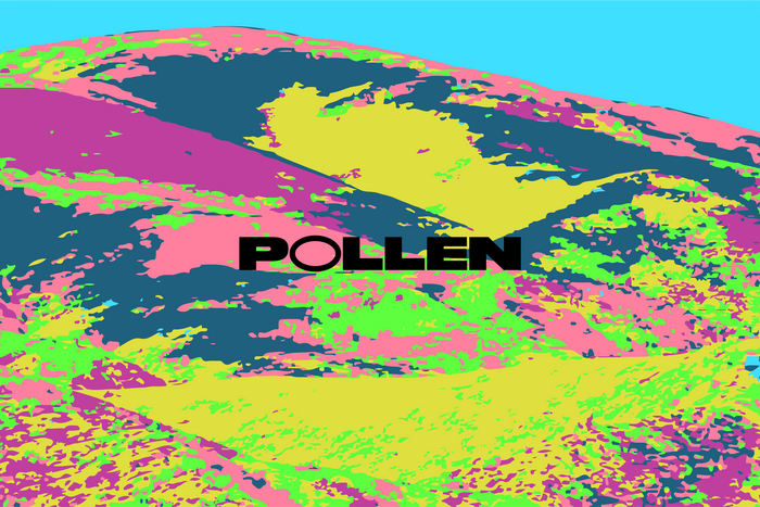 Pollen app 2