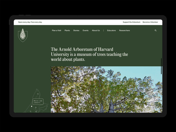 Arboretum of Harvard University 1