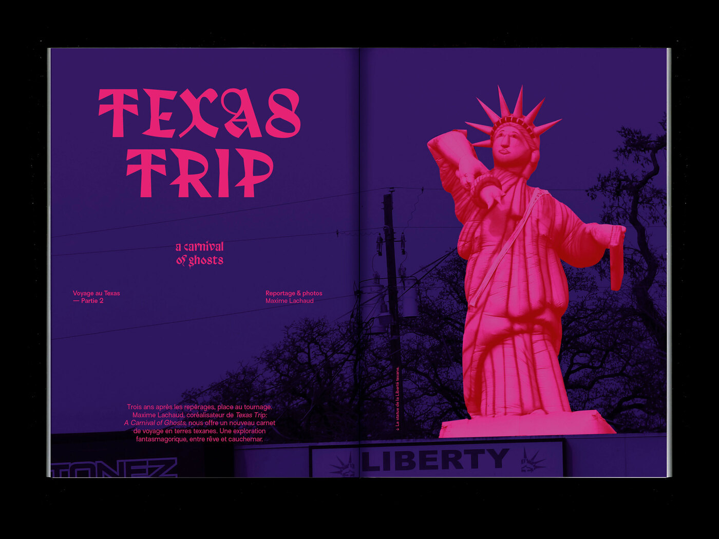 La Septième Obsession, issue 31, “David Fincher”