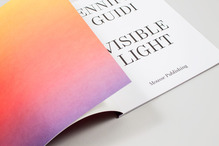 <cite>Jennifer Guidi: Visible Light</cite>