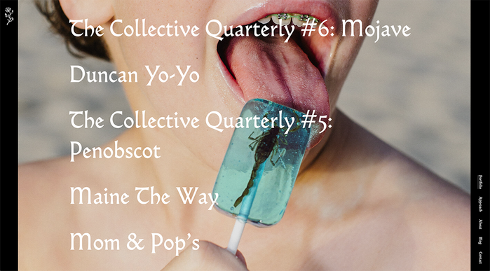 Deciduous Studio website 1