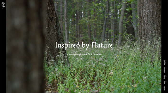 Deciduous Studio website 7