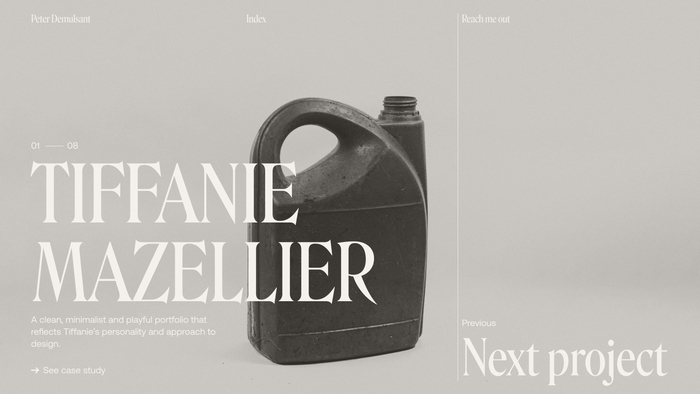 Peter Demulsant portfolio website 4