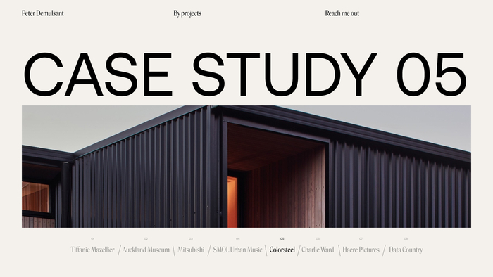 Peter Demulsant portfolio website 5