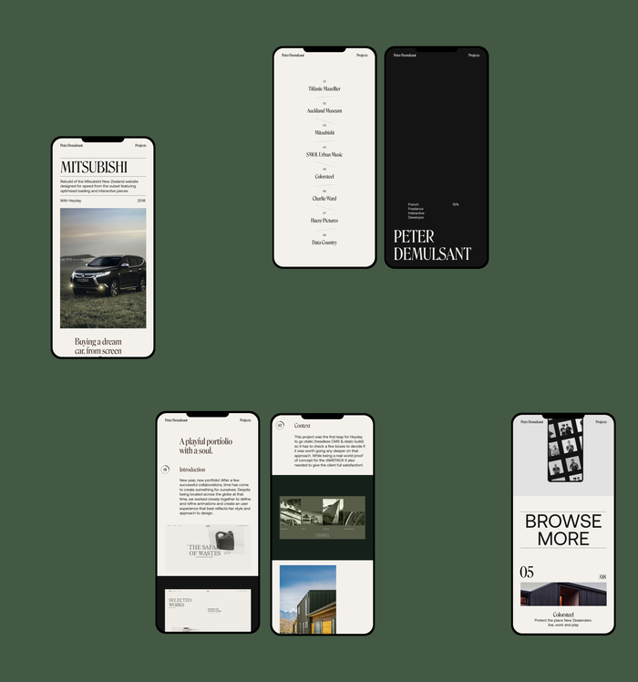Peter Demulsant portfolio website 6