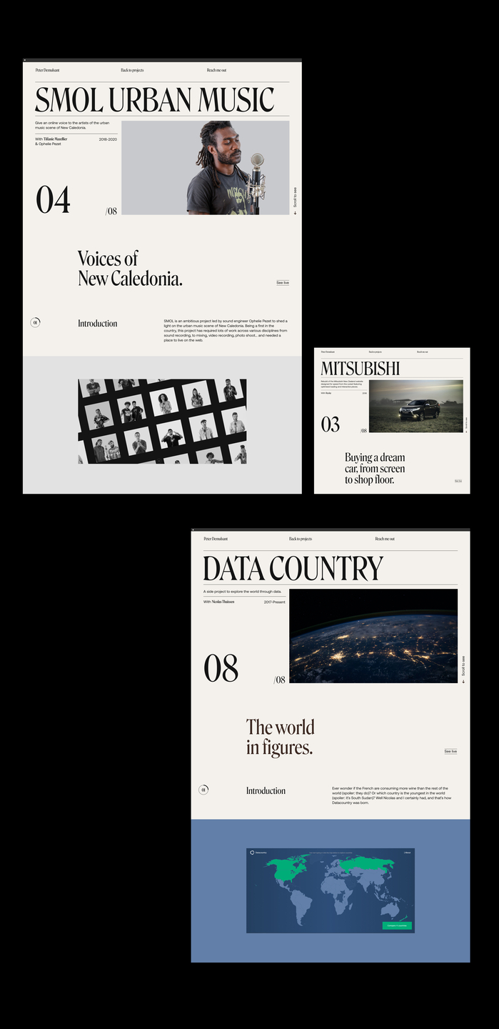 Peter Demulsant portfolio website 7