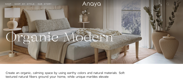 Anaya Home website 2