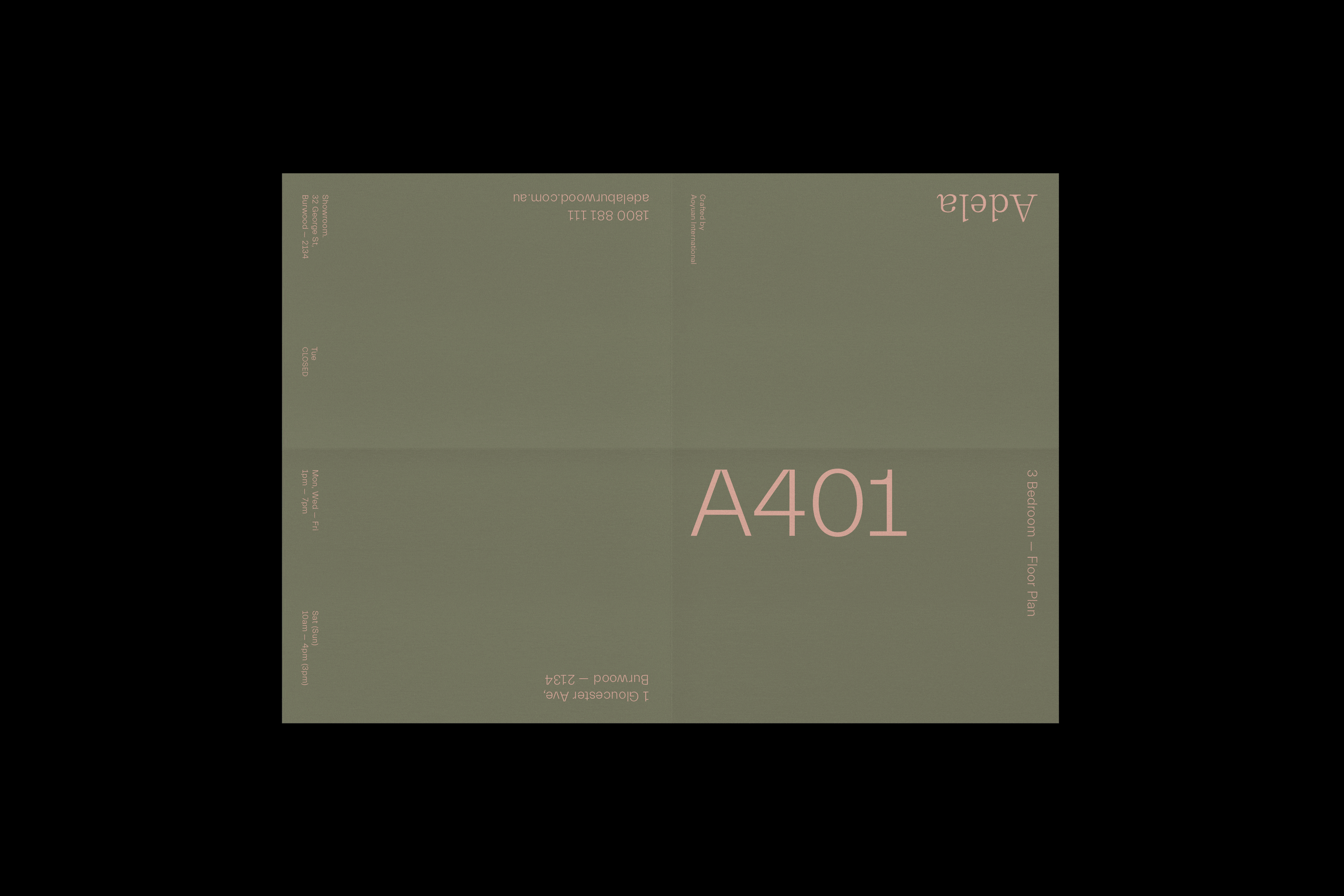 Adela 13
