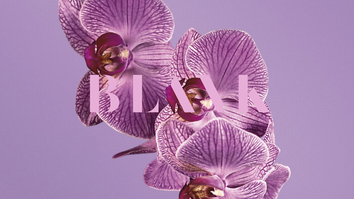 Blank Digital brand identity 7