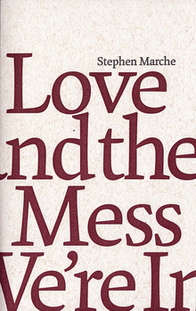 <cite>Love and the Mess we’re in</cite> by Stephen Marche