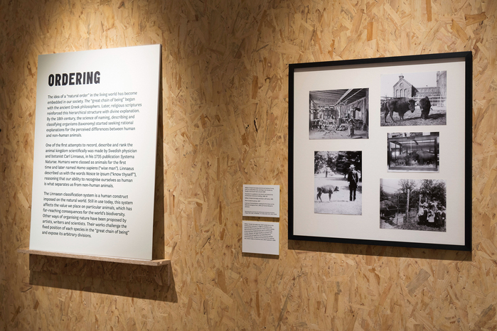 Making Nature: How We See Animals exhibition 3