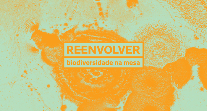 Reenvolver identity and packaging 3