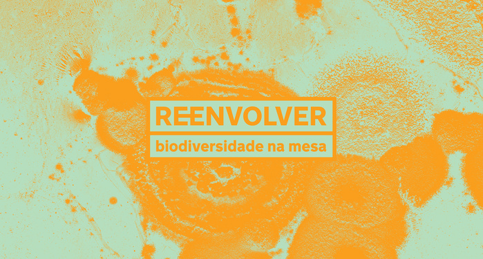 Reenvolver identity and packaging 3