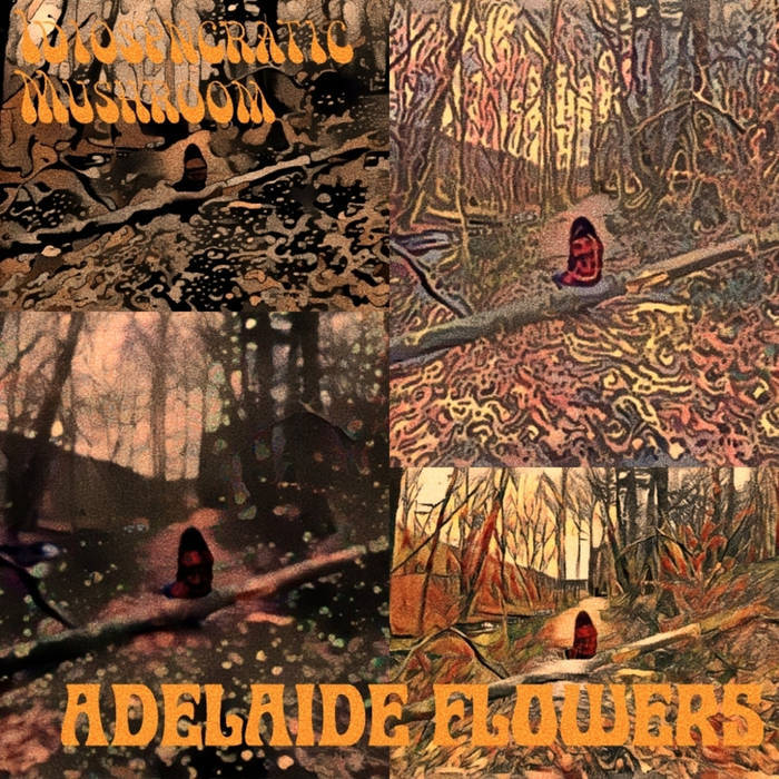Idiosyncratic Mushroom – In The Space and Adelaide Flowers album art 2