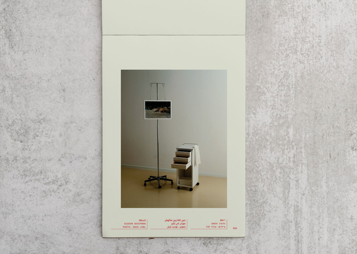 Nurse Nurse catalog 5