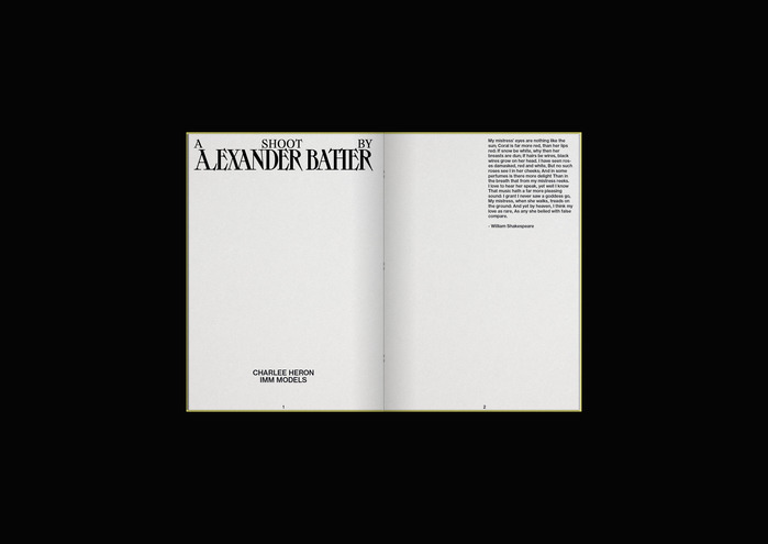 Have You Seen Alexander Bather 2