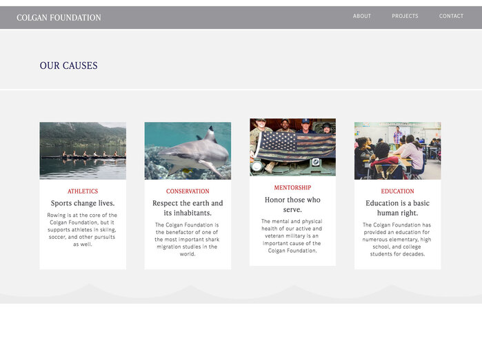 Colgan Foundation website 4