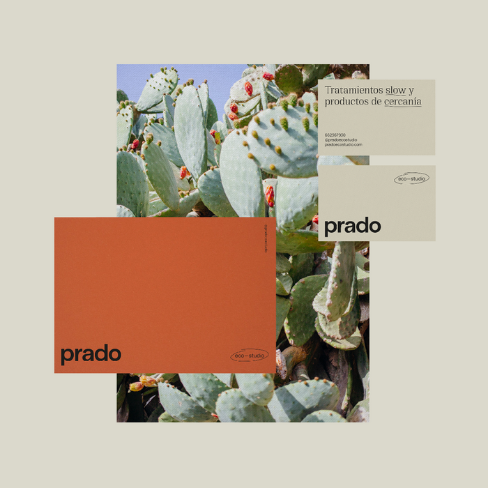 Prado Eco-studio 3