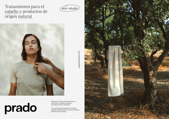 Prado Eco-studio 5