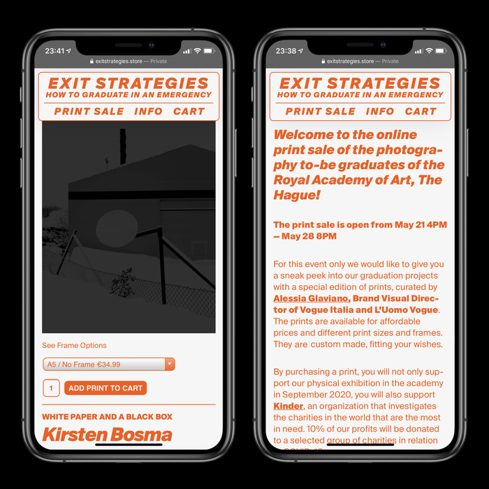 Exit Strategies online store 1