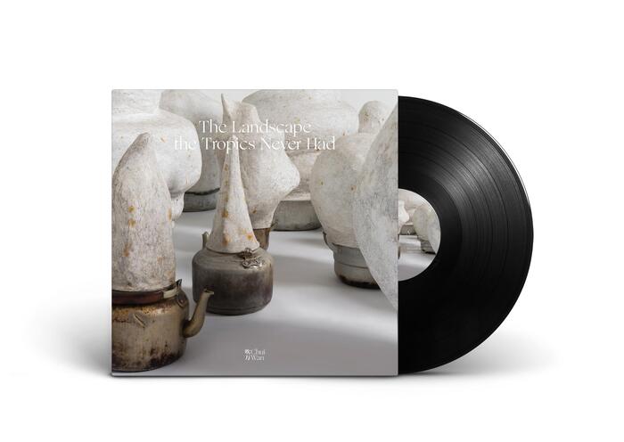 Chui Wan – The Landscape the Tropics Never Had&nbsp;album art and tour posters 1