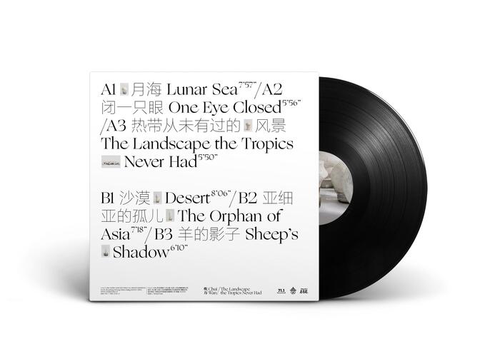 Chui Wan – The Landscape the Tropics Never Had&nbsp;album art and tour posters 2