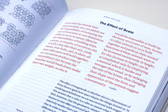 Patterns in Nature by Peter S. Stevens 4