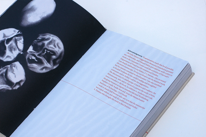 Patterns in Nature by Peter S. Stevens 2