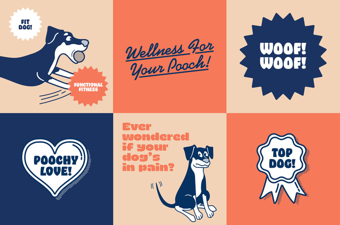 The Dog Wellness Centre 7