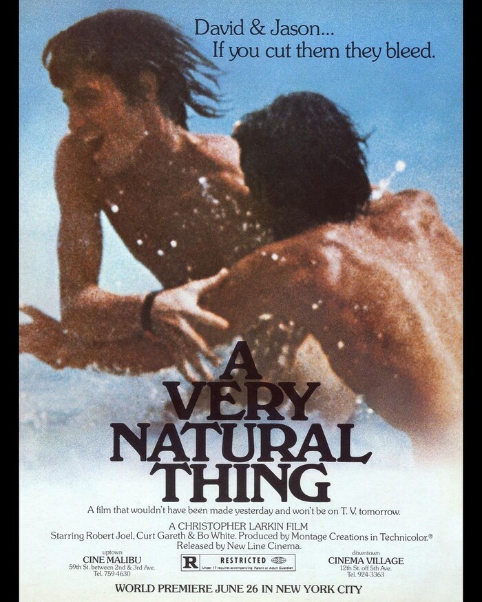 A Very Natural Thing (1974) movie poster 1