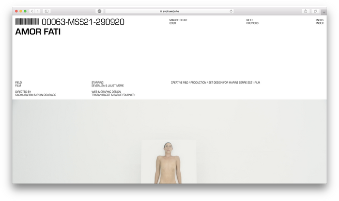 Avoir identity and website 4