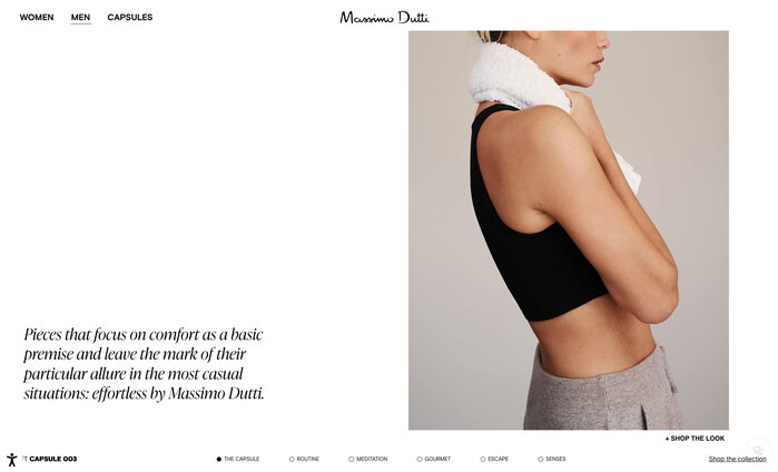 Massimo Dutti website 2