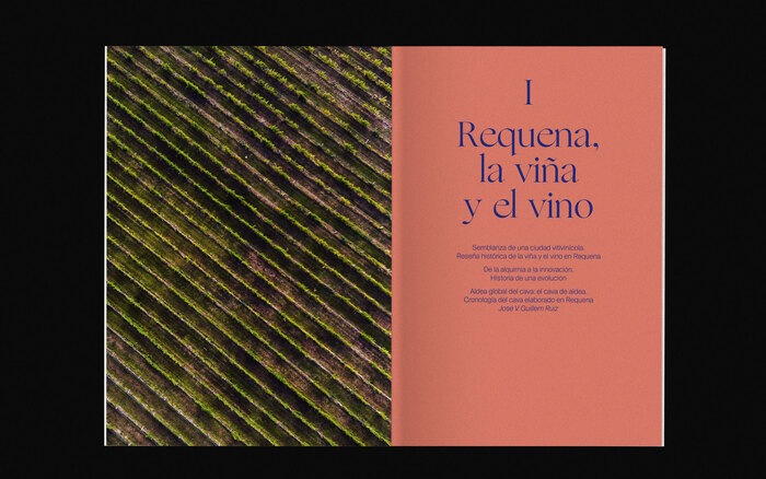 El cava elaborado en Requena 5