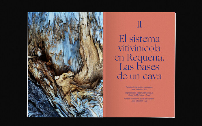 El cava elaborado en Requena 8
