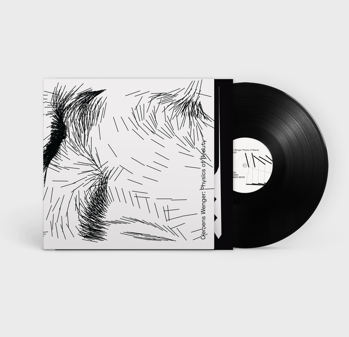 Physics of Beauty website and album art 6
