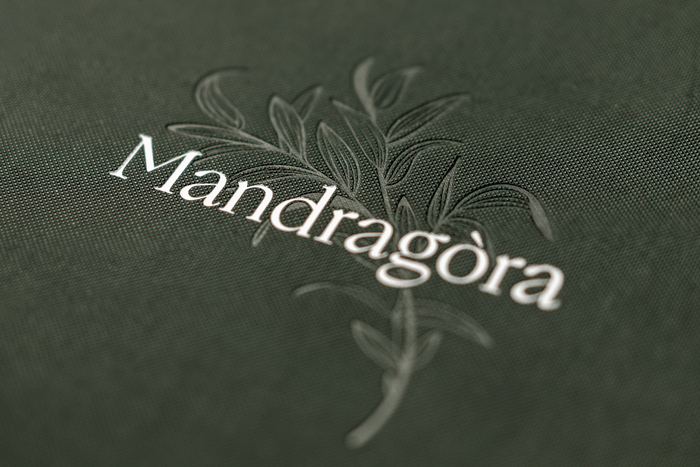 Mandragòra restaurant 2