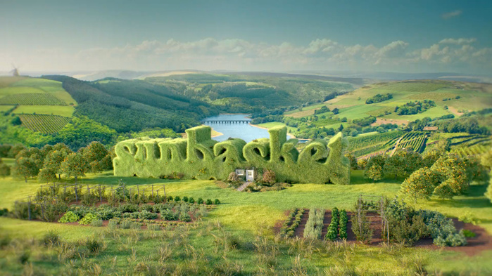 Sunbasket branding 1