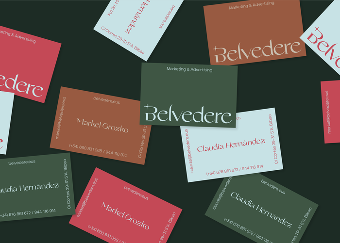Belvedere Agency identity & website 1