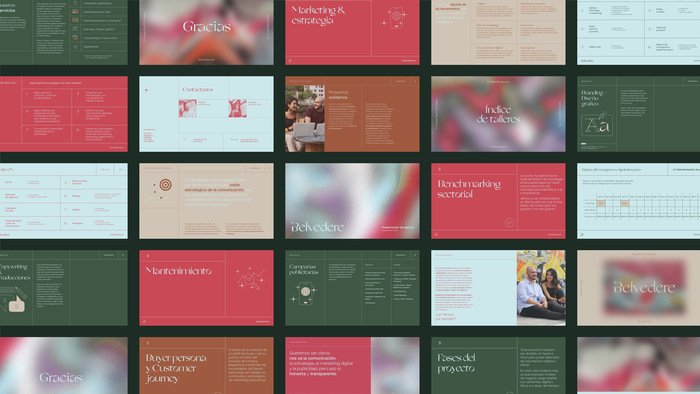 Belvedere Agency identity &amp; website 4