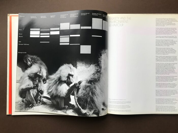 Nobrium marketing brochure 9