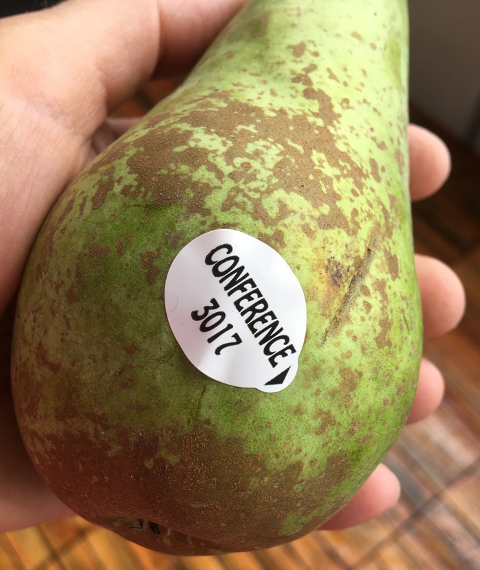 Conference pear fruit sticker