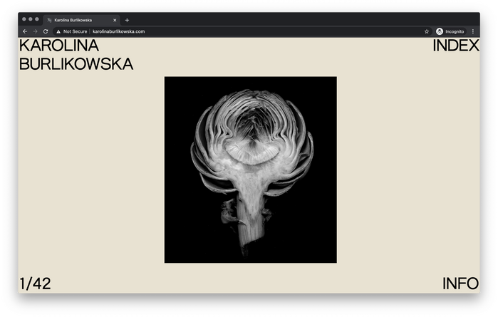 Karolina Burlikowska website 1