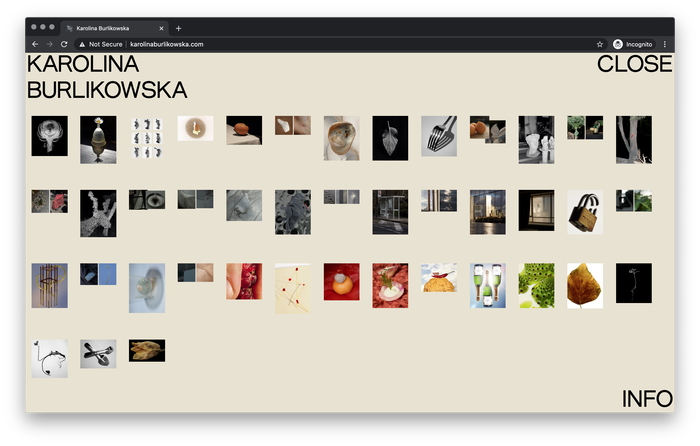 Karolina Burlikowska website 2