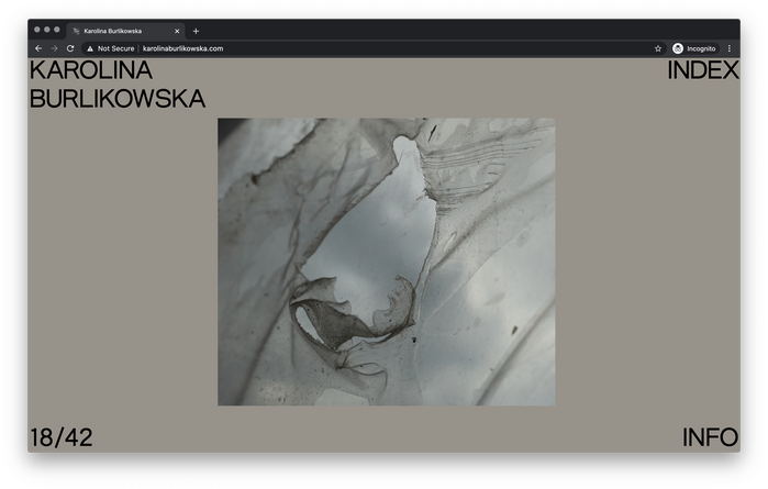 Karolina Burlikowska website 3