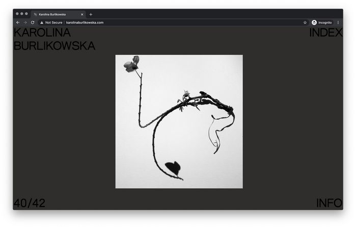 Karolina Burlikowska website 5