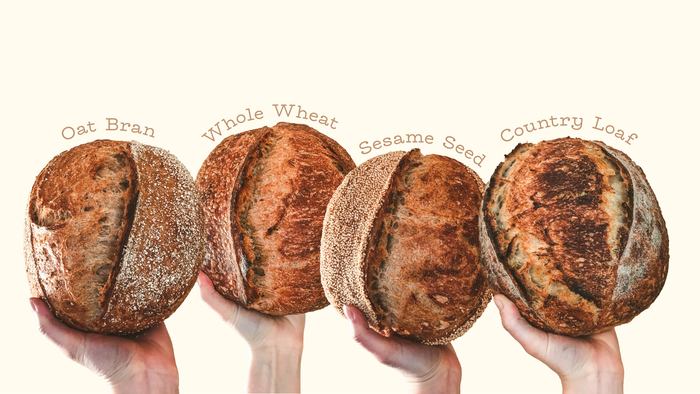 Steady Rise Bread Co. logo and branding 3